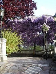 Restaurante Bodas El Duque Gijón Jardines