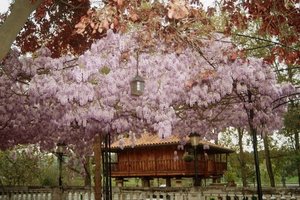 Bodas Restaurante El Duque Gijón Jardines