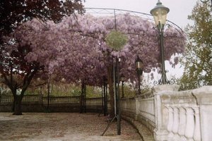 Bodas Gijón Restaurante El Duque Jardines